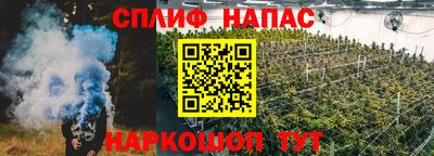 прущие крисы Вязьма