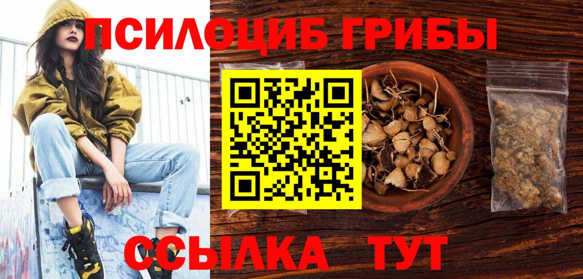 Псилоцибиновые грибы GOLDEN TEACHER Боровичи