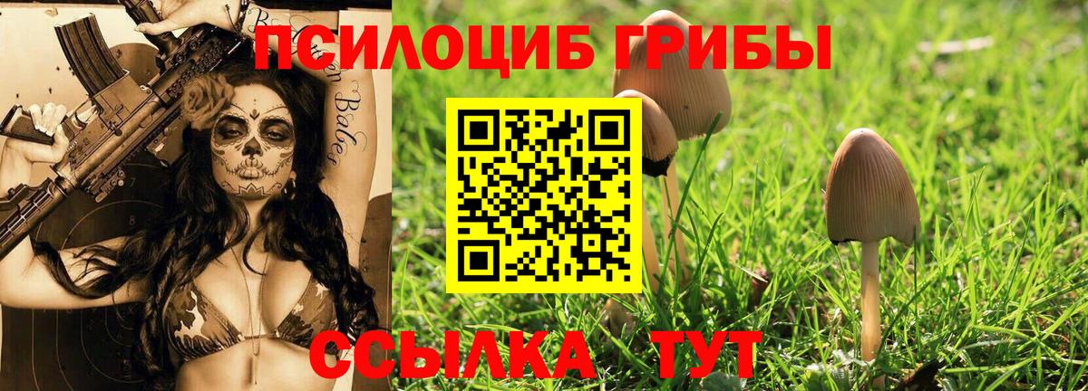 Псилоцибиновые грибы Psilocybine cubensis  Галлюциногенные грибы прущие грибы  Вход с VPN  Боровичи 